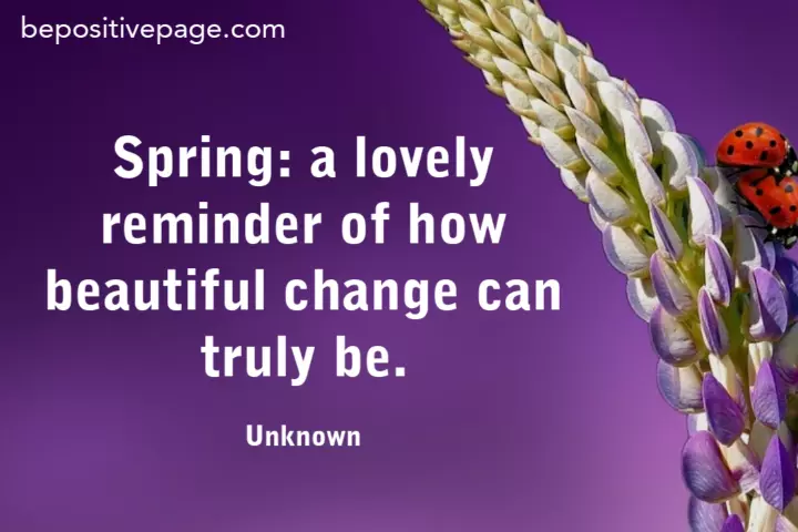 Motivational Spring quotes