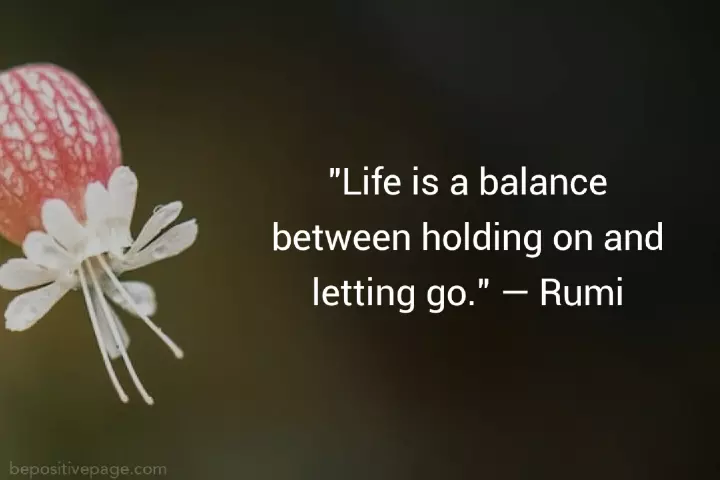 Best Rumi Quotes on Love, Wisdom and Spirituality