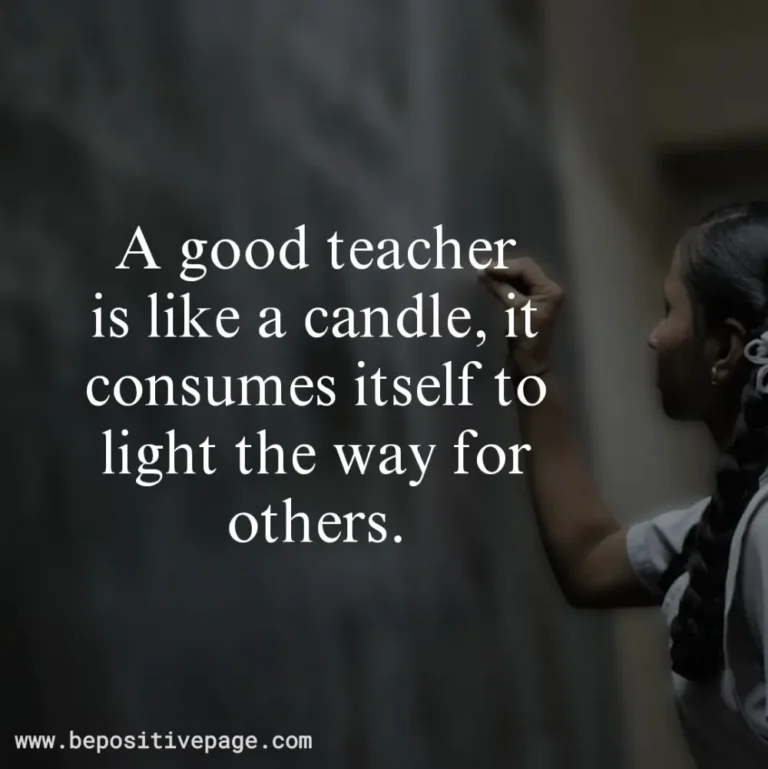 95 Best Teacher Quotes To Appreciate Your Educators